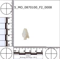 corner-notched-o project thumbnail