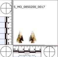 corner-notched-c project thumbnail