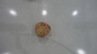 potato-sorting project thumbnail