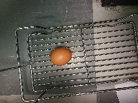 Egg Grading Computer Vision V1 project thumbnail
