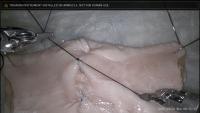 INSTRUMENTS DETECTION project thumbnail