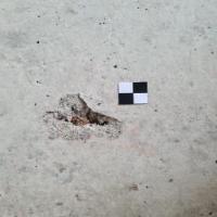 Spalling+Scale project thumbnail