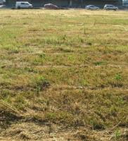 grass_robot project thumbnail
