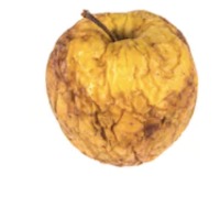 Rotten Apple Object Detection Dataset by 8sem