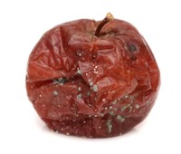 Rotten Apple Object Detection Dataset by 8sem