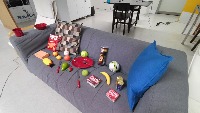 Dataset Image