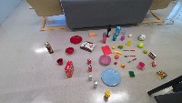 Dataset Image