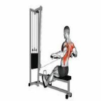 Gymscan project thumbnail