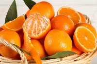 citrus-detection project thumbnail