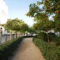 orange_trees project thumbnail