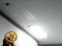 dish_food_ project thumbnail