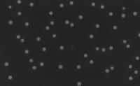 Smoothed Sphere project thumbnail