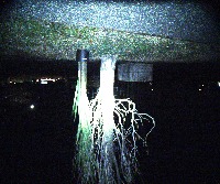 fplant project thumbnail
