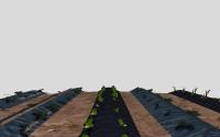 seg_Gazebo project thumbnail