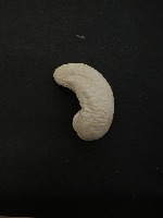 cashew_dataset_2 project thumbnail