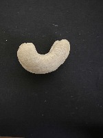 cashew detection project thumbnail