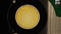 petri_dish project thumbnail