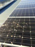 Solar Panel Anomalies Bird Drop Object Detection Dataset and Pre ...