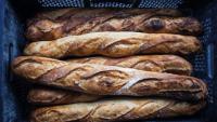 bread detection project thumbnail