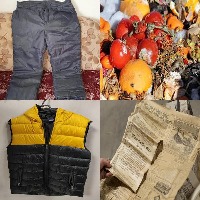 Dataset Image