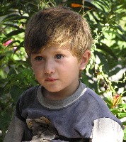 Dataset Image