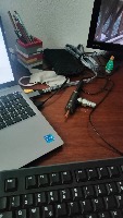 Dataset Image
