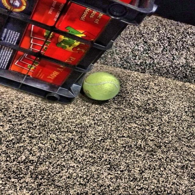 Tennis Ball Object Detection Object Detection Dataset and Pre-Trained ...