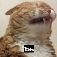 CatFace project thumbnail