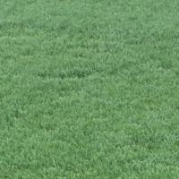 Sugarcane Gaps project thumbnail
