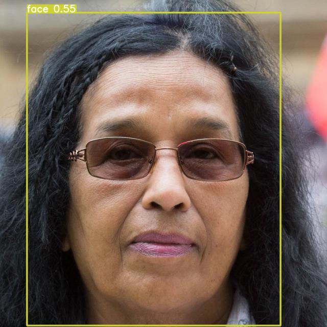 Normal Face Object Show Face-Recognition Object Detection Model by SK