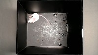 Paper 1.2 project thumbnail