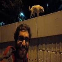 dog project thumbnail