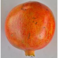 pomegranate-grading-segmentation project thumbnail