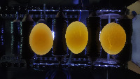 Final Dataset project thumbnail