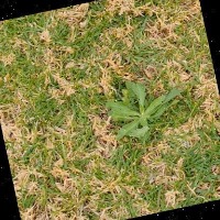 Herbalist Group 2 project thumbnail
