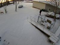 3/1/26 deer,garbage,delivery project thumbnail