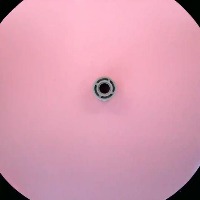 42610-Light_Bluish_Gray project thumbnail