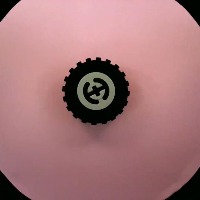 3482 project thumbnail