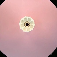 32007-White project thumbnail