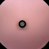 4624 project thumbnail
