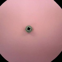 2983-Light_Bluish_Gray project thumbnail