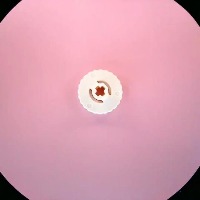46834-White project thumbnail