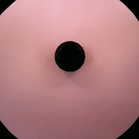 4288-Black project thumbnail