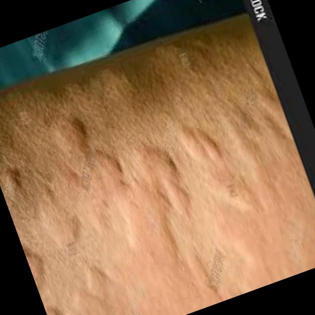 Skin Test Model SkinTest Classification Model by Test1