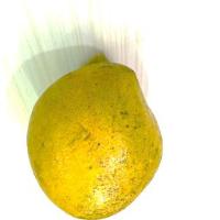 Dataset Buah Mangga project thumbnail