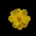 segmented flowers detection project thumbnail
