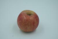 Apple Variety Normal Light project thumbnail