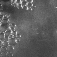 bubble Object Detection Dataset by zhejiang university