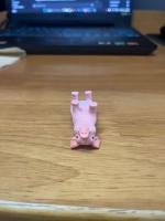 pig project thumbnail