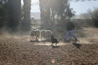 Alessandra project thumbnail